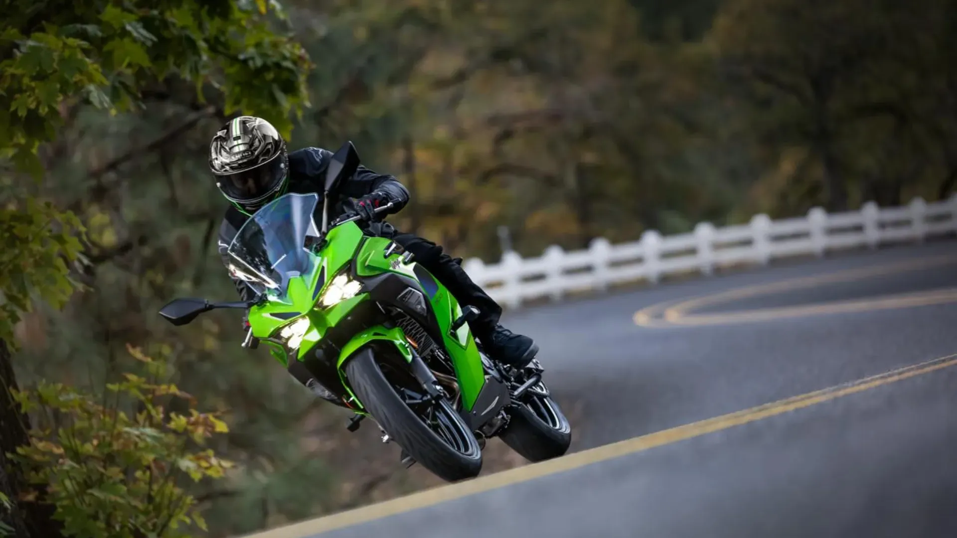 2026 Kawasaki Ninja 500 2.webp