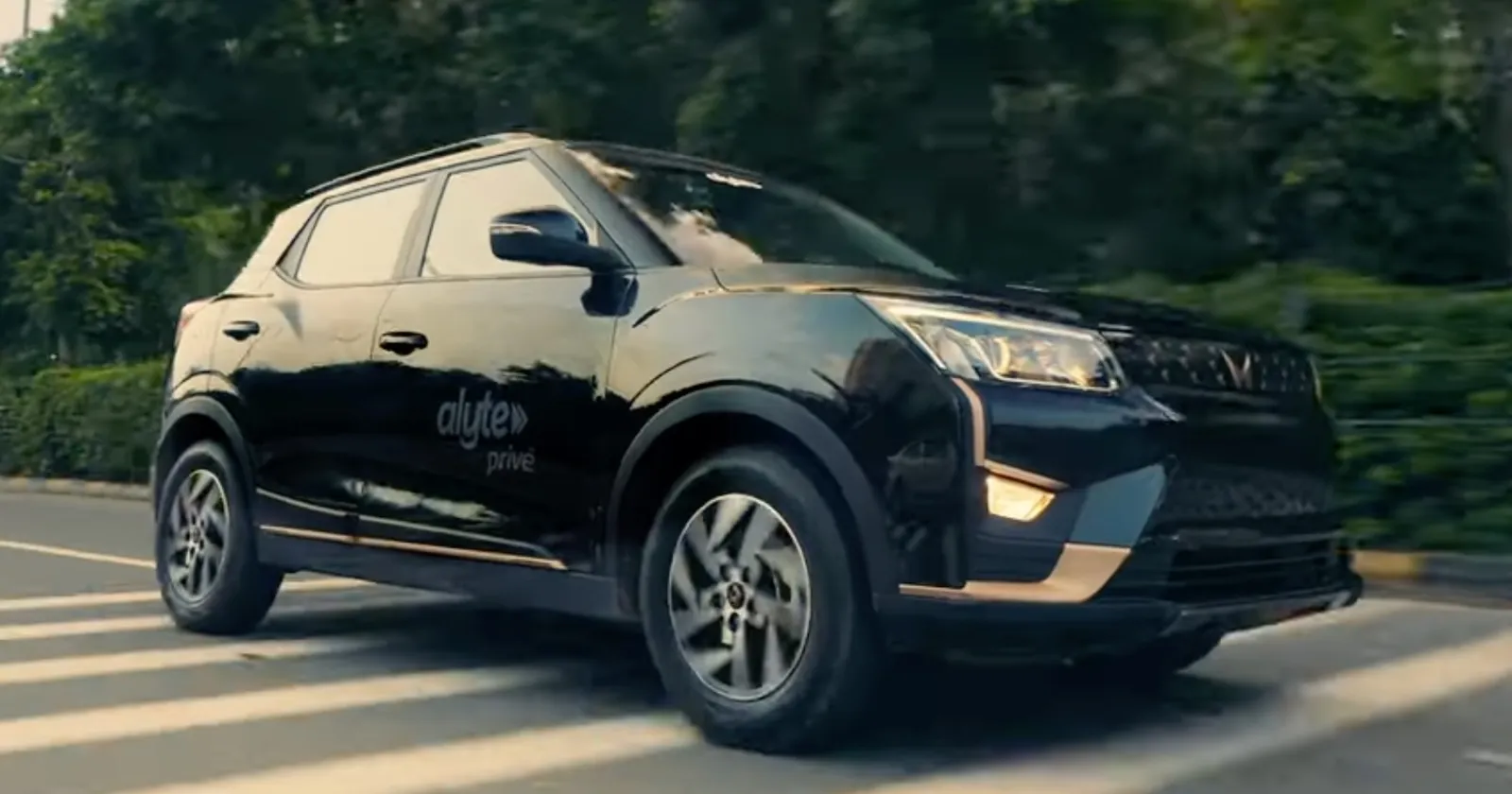 Alyte_Mahindra_3b79575ac2.webp