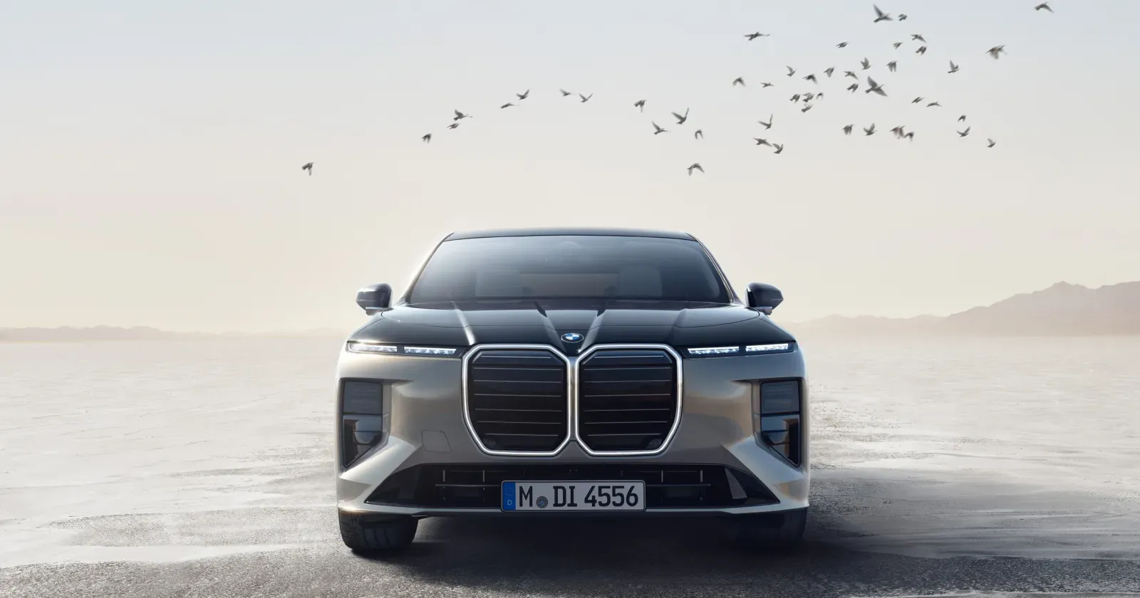 BMW 7 Series (3).webp