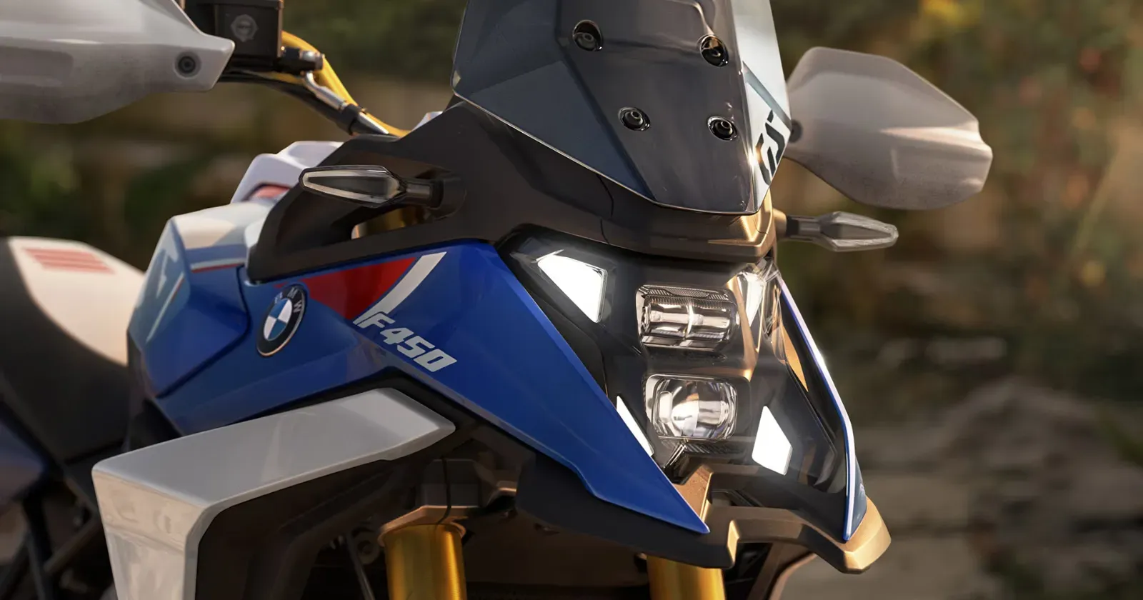 BMW F 450 GS (2).webp