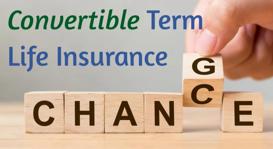 Convertible_Term_Insurance_c6e1768688.webp