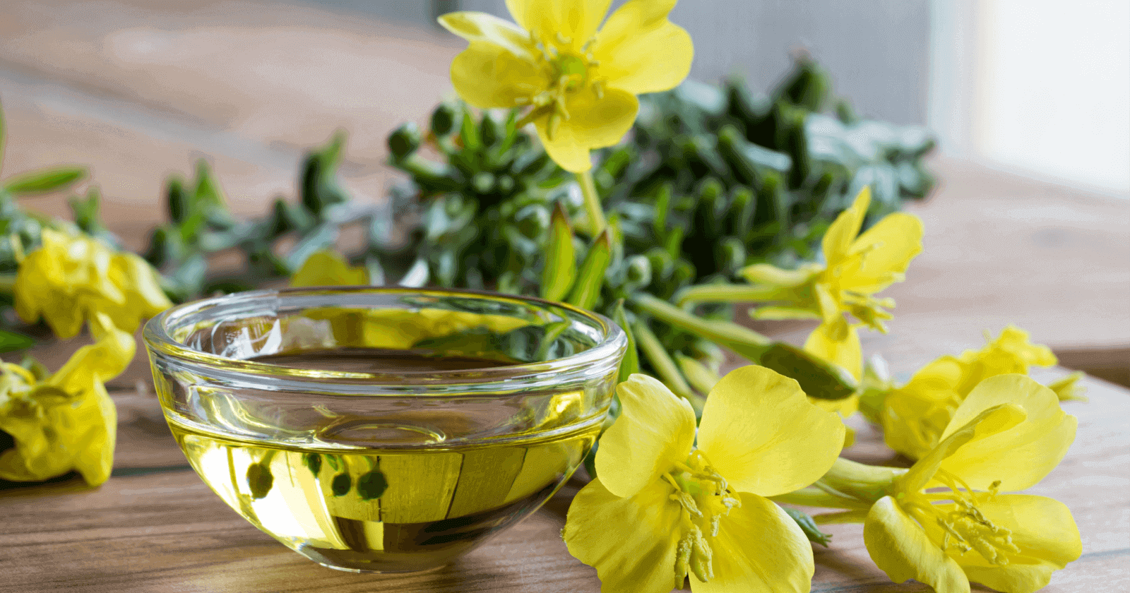 Evening Primrose Oil: Benefits, Usage & Side Effects