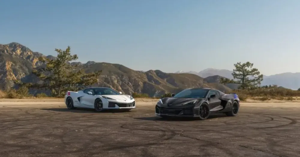 GM Motors.webp