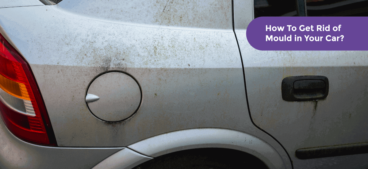 How_To_Get_Rid_of_Mould_in_Your_Car_62de8e33c0.png