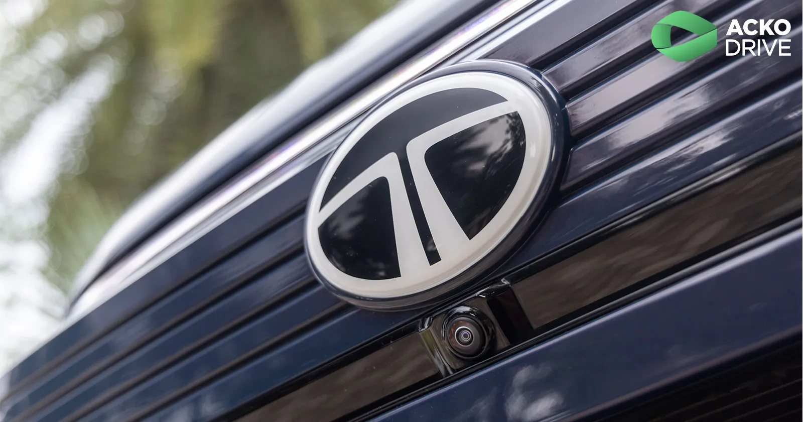 Tata_Harrier_EV_Detail_8_28e01dadfe.webp