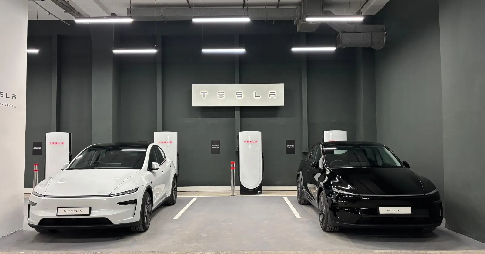 Tesla_Model_Y_Delhi_5cd4031a5f.webp