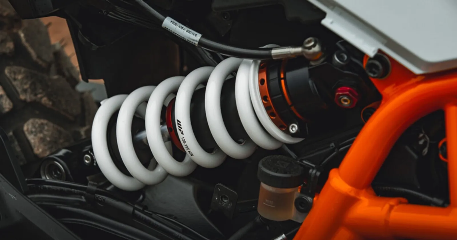 WP_6500_f0d8f70db5.webp