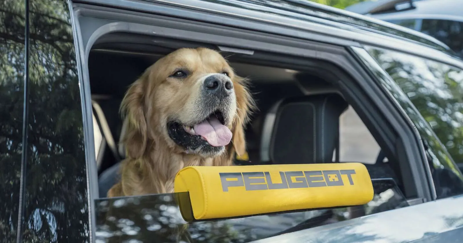 peugeot-dog-concept-cushion.webp