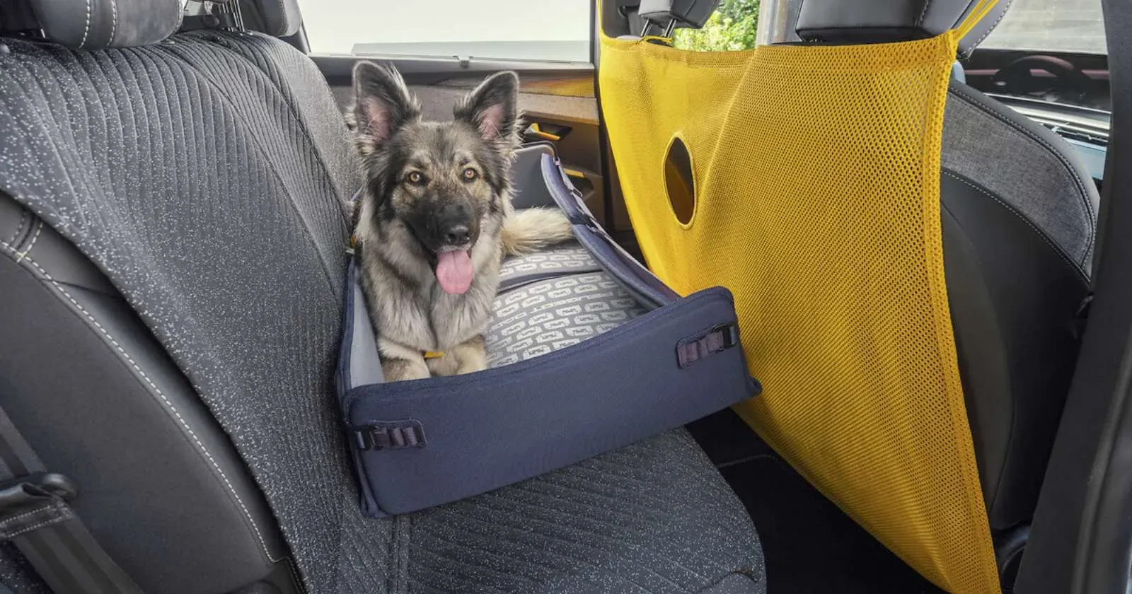 peugeot-dog-concept-interior.webp