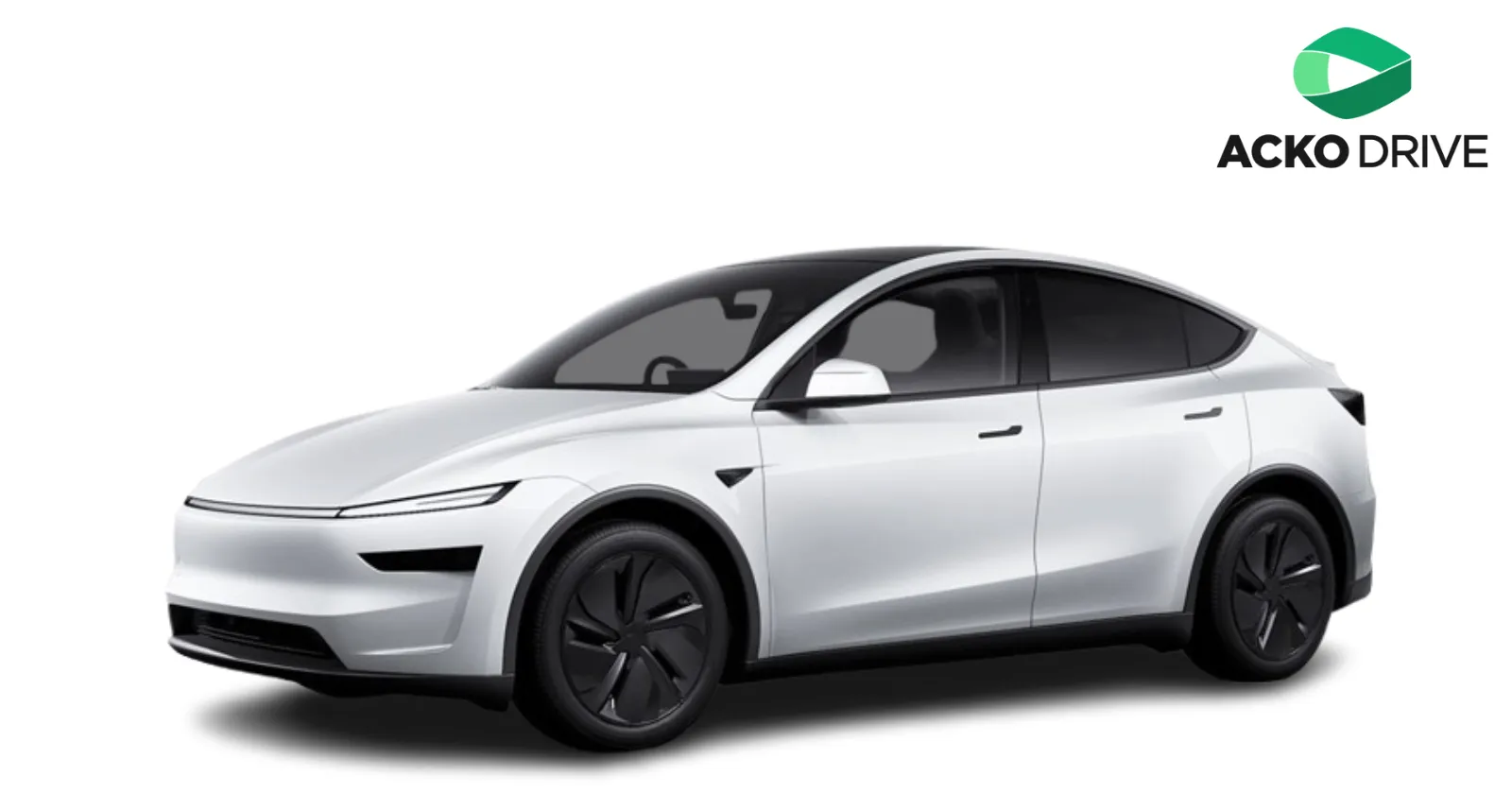 Exploring the Tesla Model Y Variants: Long Range RWD vs RWD